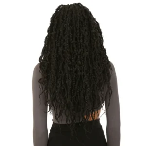 Braided Wig